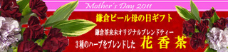 2011mother_bn.jpg